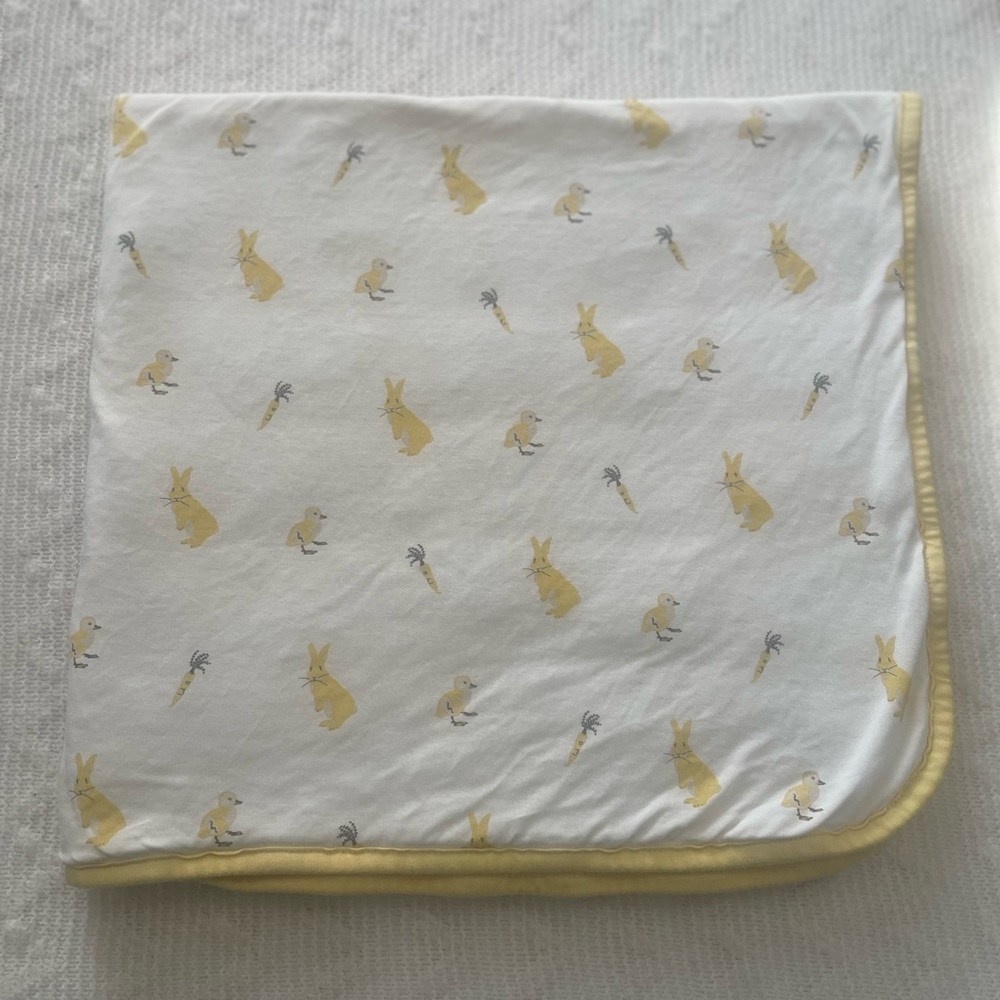 Kyte baby blanket